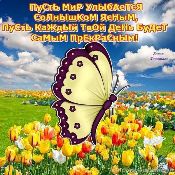 Поздравления с солнечным днем