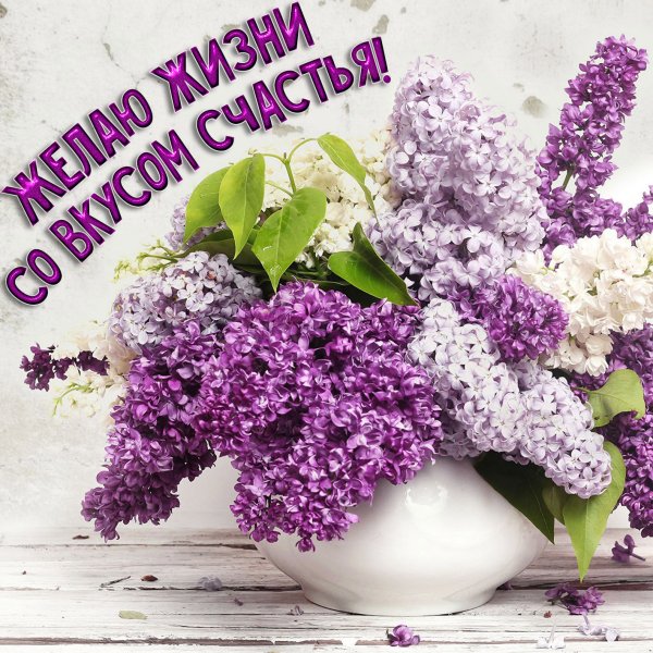 Сирень поздравление