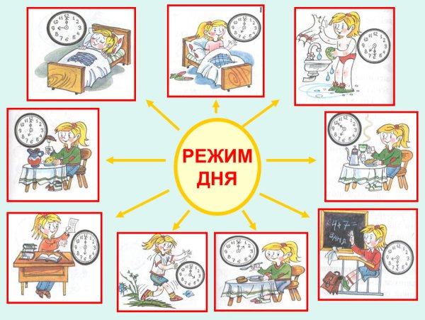Режим дня