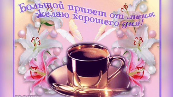 Открытки доброе утро хорошего дня
