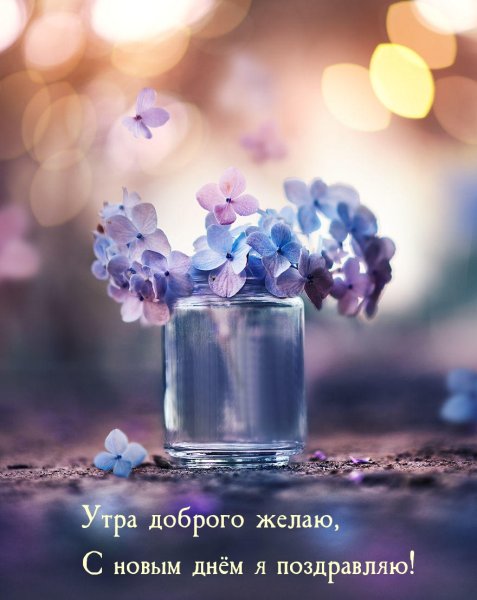 Доброе волшебное утро
