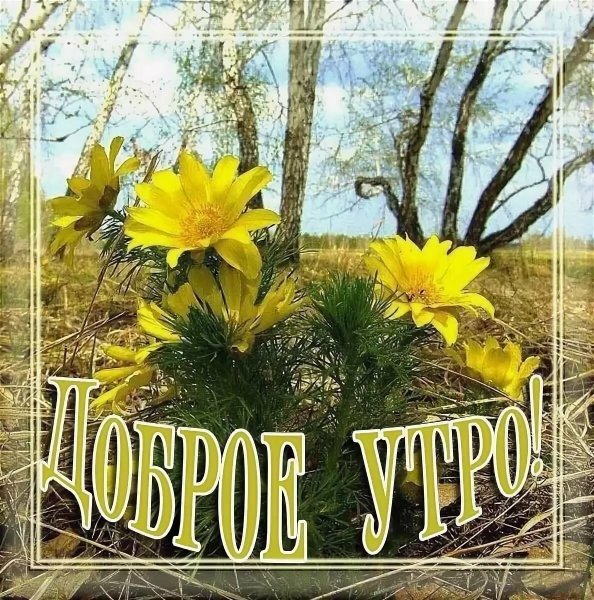 С добрым утром Весна