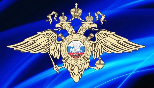День транспортной полиции России