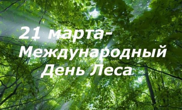 Всемирный день защиты лесов