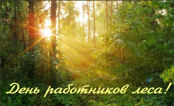 Лес наш друг