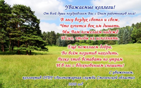 С днем работника леса коллегам