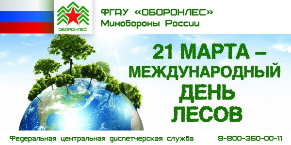 Международный день лесов