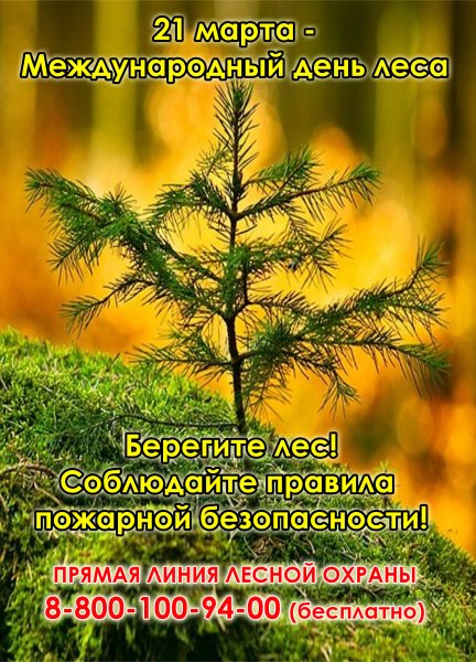 Международный день лесов