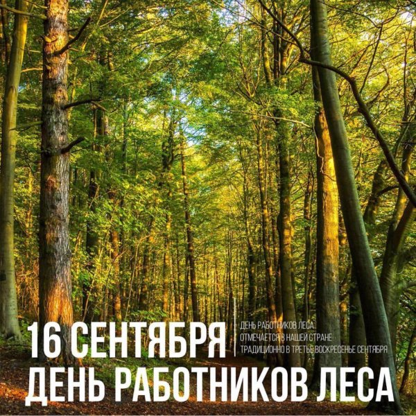 День работников леса сентябрь