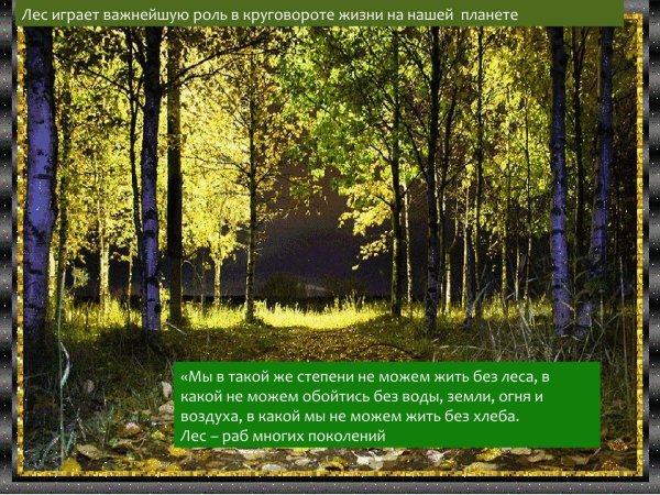 Открытка к Международному Дню леса
