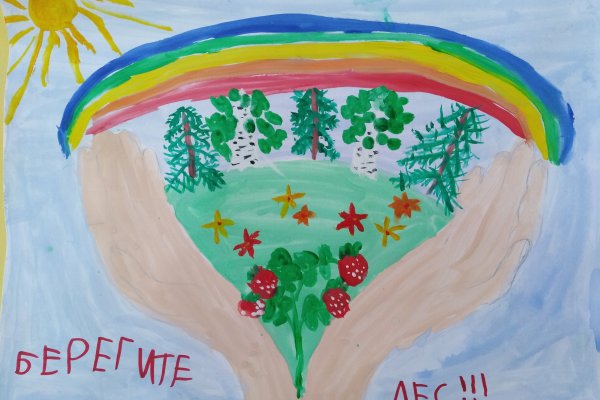 Рисование на тему лес наше богатство