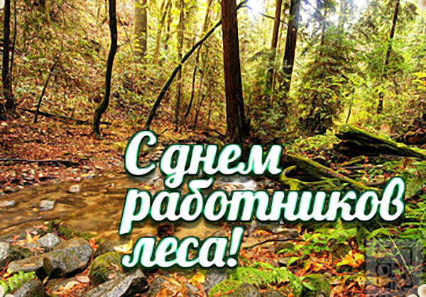 С днем работника леса открытки
