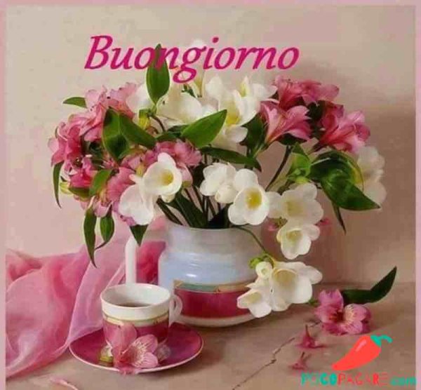 Чудесного утра и прекрасного настроения красивые