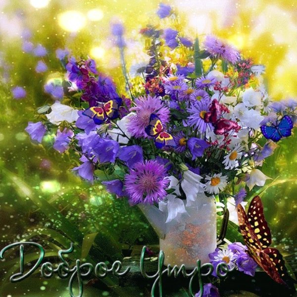 Доброе летнее утро