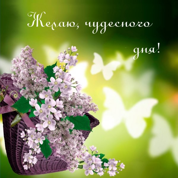 Пожелания на вторник