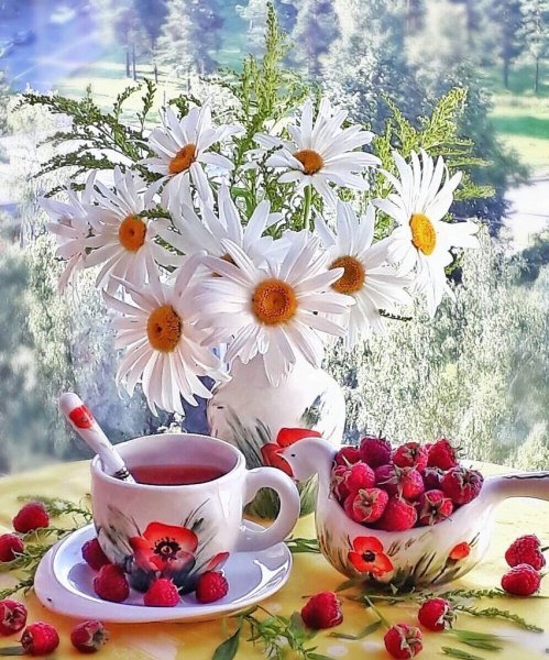 Доброе летнее утро