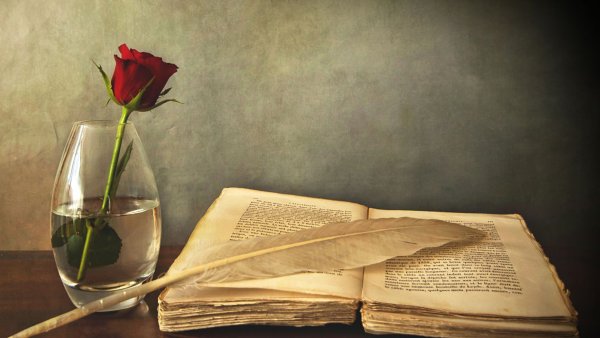 Книга и перо