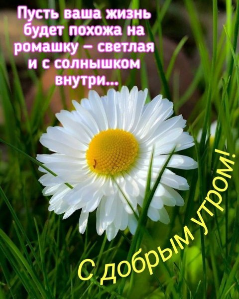 Солнечного утра и хорошего настроения