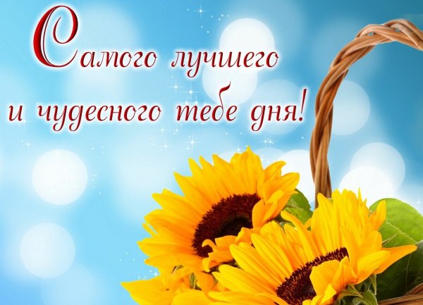 Открытки с пожеланиями хорошего дня