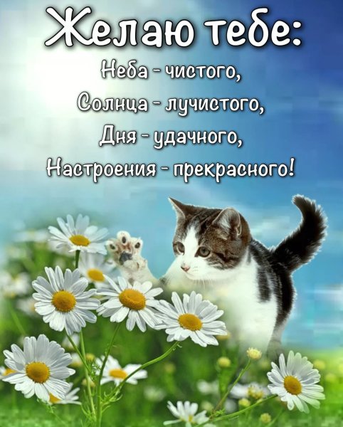 Хорошего дня и отличного настроения