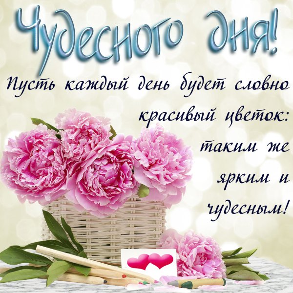 Открытки с пожеланием доброго дня
