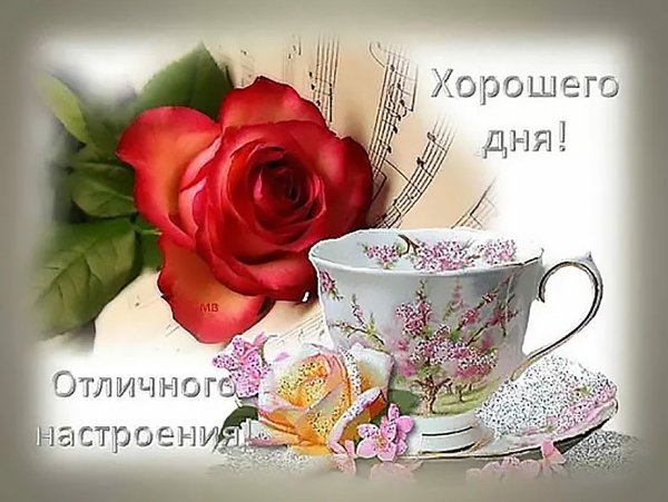 Хорошего дня и отличного настроени