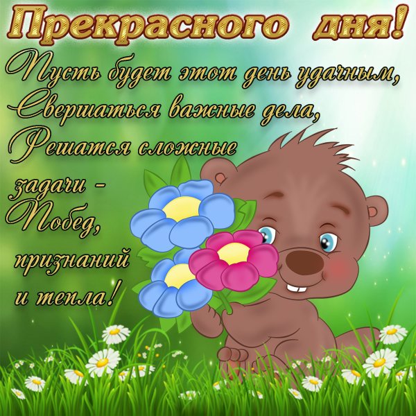 Поздравление с добрым днем