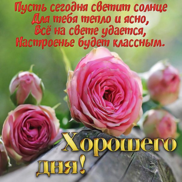 Хорошего дня и отличного настроения