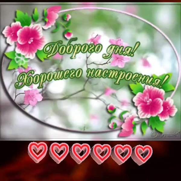 Пожелания доброго дня