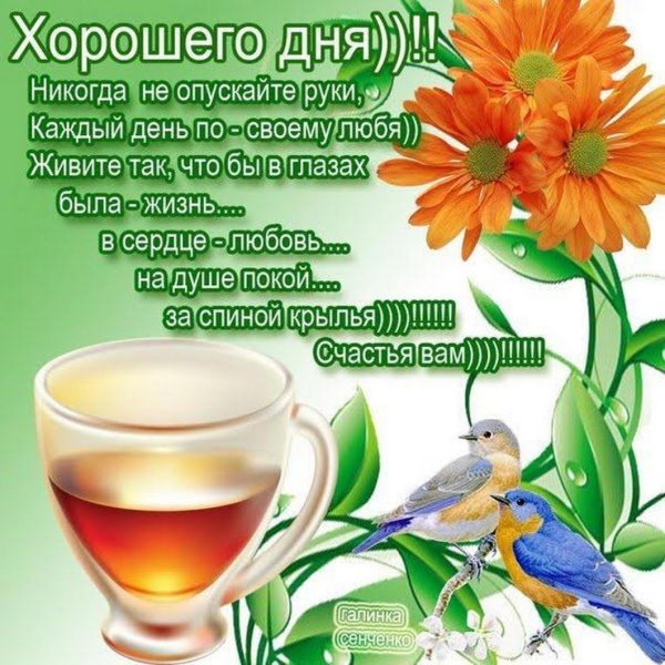 Поздравления с хорошим днем