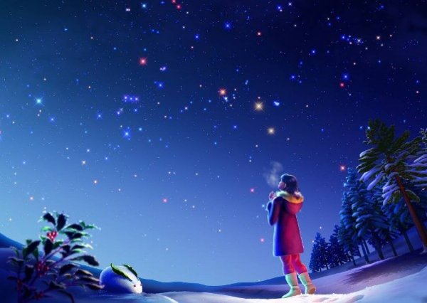 Звездная Рождественская ночь