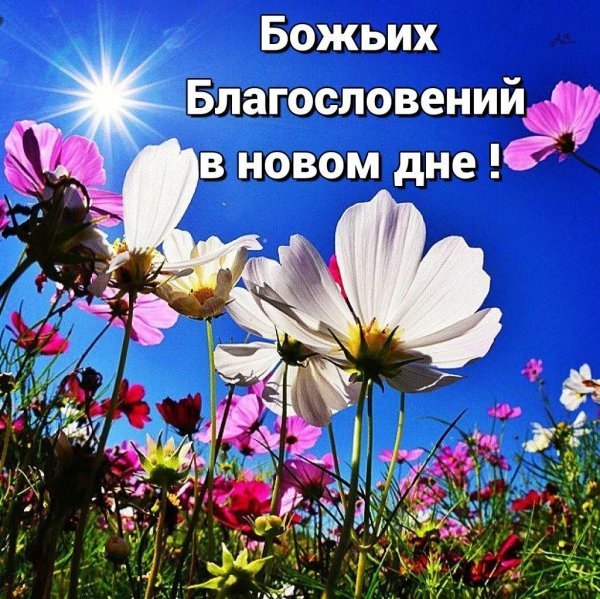 Благословенного дня