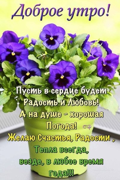 Поздравление с добрым утром