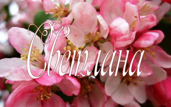 Открытка "с днем ангела!"