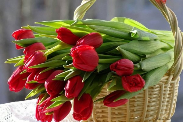 Весеннего настроения подснежники