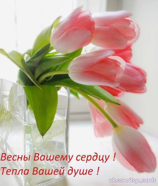 Доброго весеннего дня