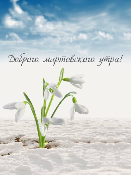 Розовые тюльпаны в вазе