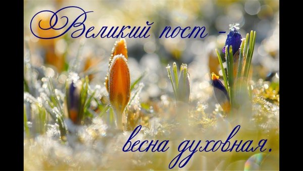 Первоцветы (подснежники, крокусы, гиацинты).