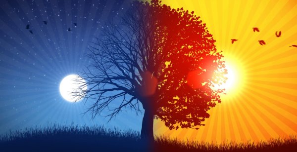 Солнце ночи