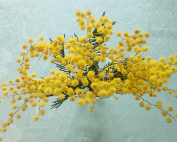 Корзина с тюльпанами и мимозой