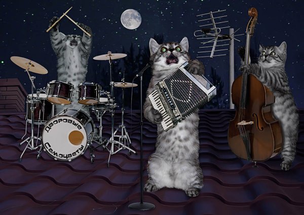 Котики с музыкальными инструментами