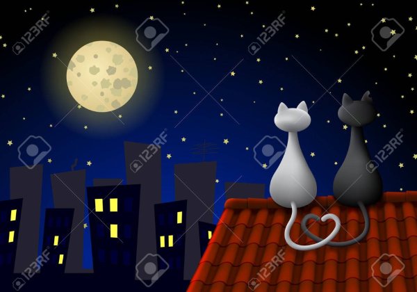 Картина коты на крыше ночью