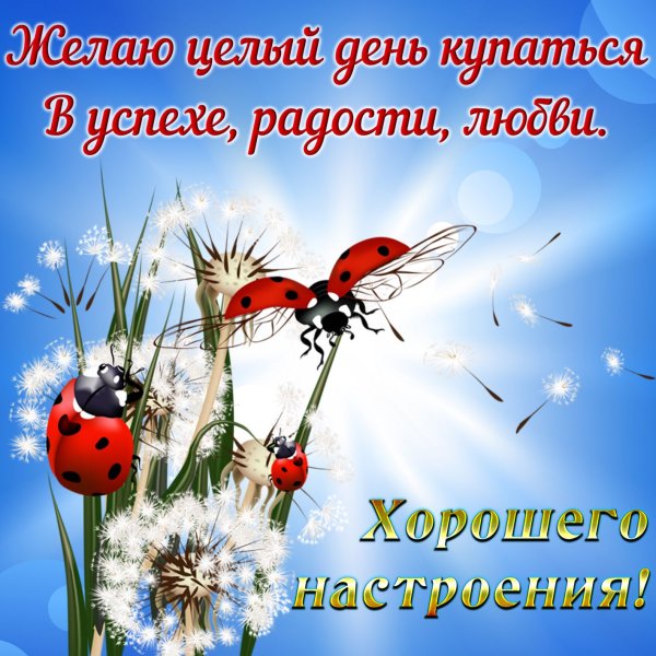 Пожелания доброго дня