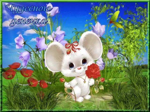 Летнее настроение