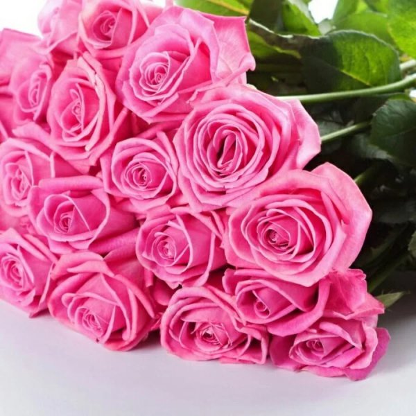 С днем рождения