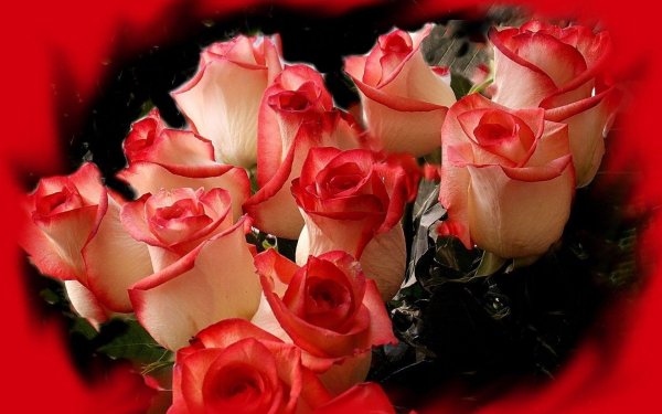 Цветы для тебя