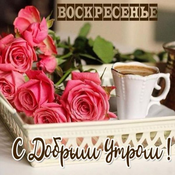 Доброе утро вторника