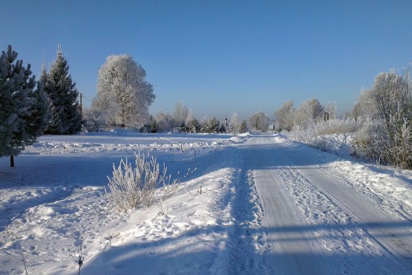 Зима Мороз