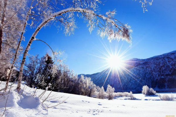 Зимняя природа
