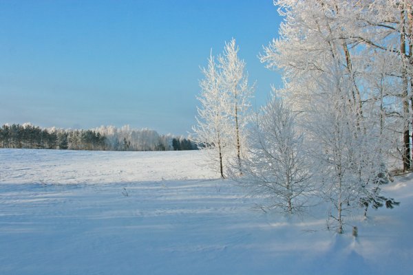 Мороз и солнце